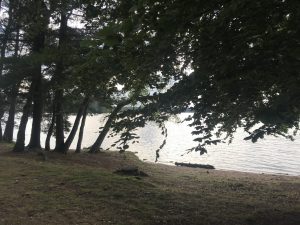 Les paroles du lac – V
