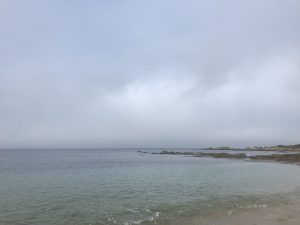 Sauvage