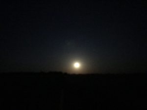 La route à la nuit