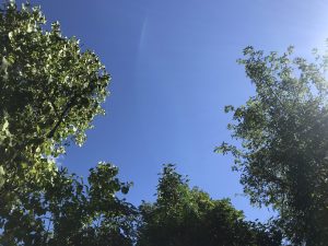 Dans les yeux de Clara