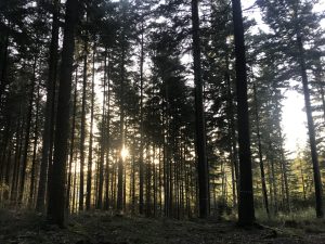 Les heures des frontières