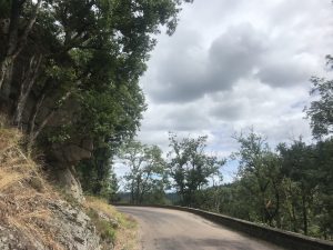 Sur un muret
