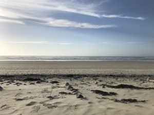 La rivalité des vagues