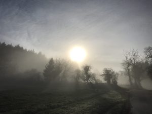 Brume dense