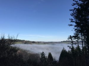 Seul l’inconscient sait résonner