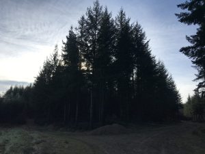 Le seul péché, c’est d’avoir peur