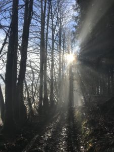 Lettre à Agustina