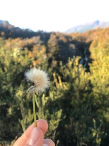 Ton souffle sur cette fleur