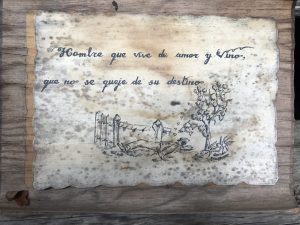 Féminine cartographie