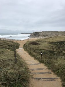 Le virage de tes hanches